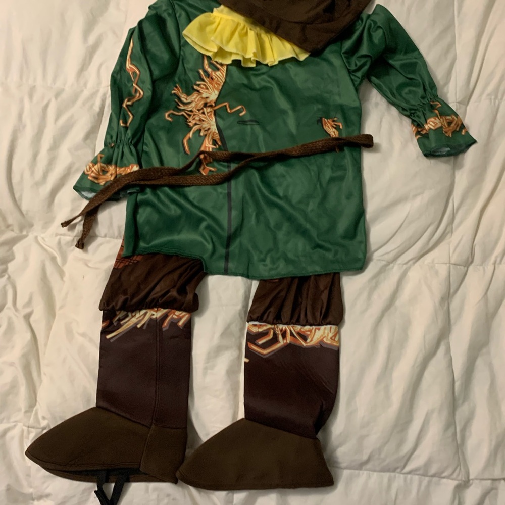 Kids Wizard of Oz Scarecrow Costume - Green and Brown - Picture 4 of 5